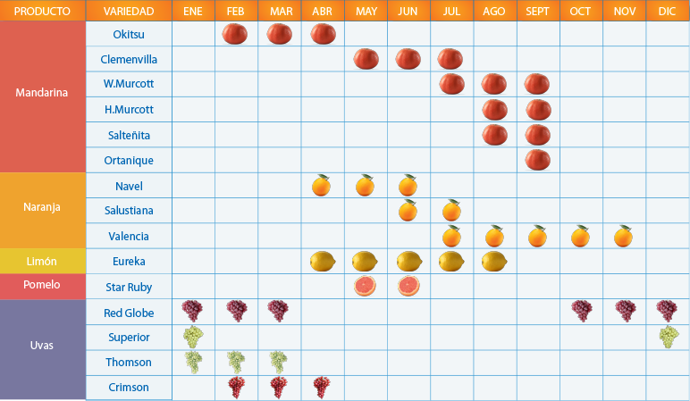 Calendario